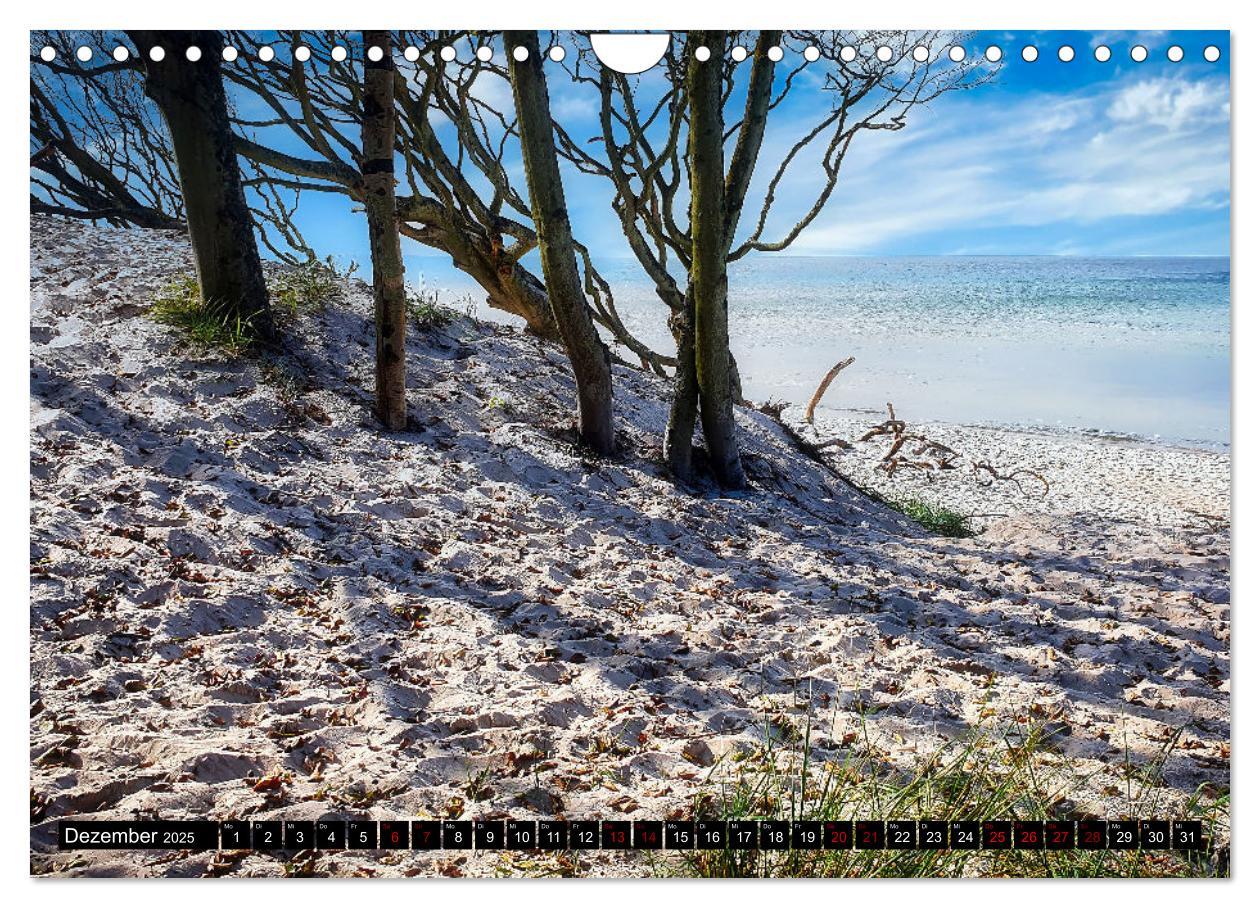 Bild: 9783435024179 | Fischland - Darß- Zingst (Wandkalender 2025 DIN A4 quer), CALVENDO...