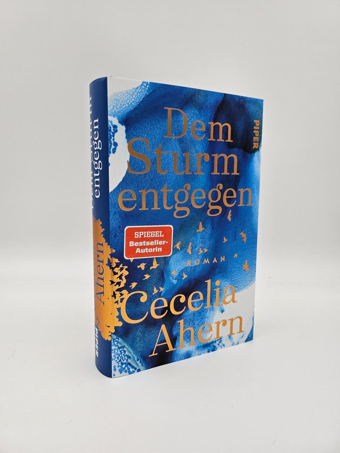 Bild: 9783492071819 | Dem Sturm entgegen | Cecelia Ahern | Buch | 448 S. | Deutsch | 2024