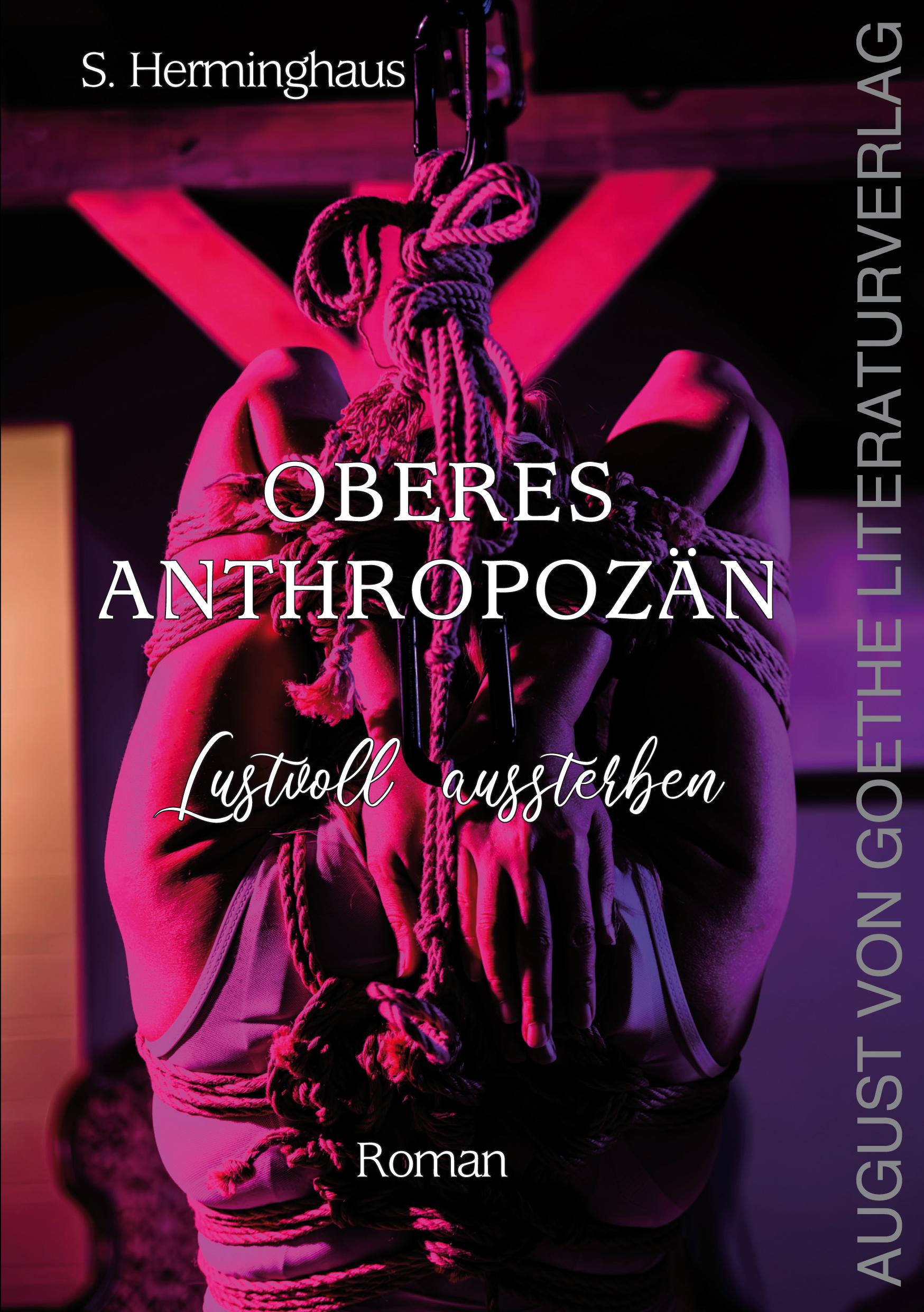 Cover: 9783837228328 | Oberes Anthropozän | Lustvoll aussterben | Stephan Herminghaus | Buch