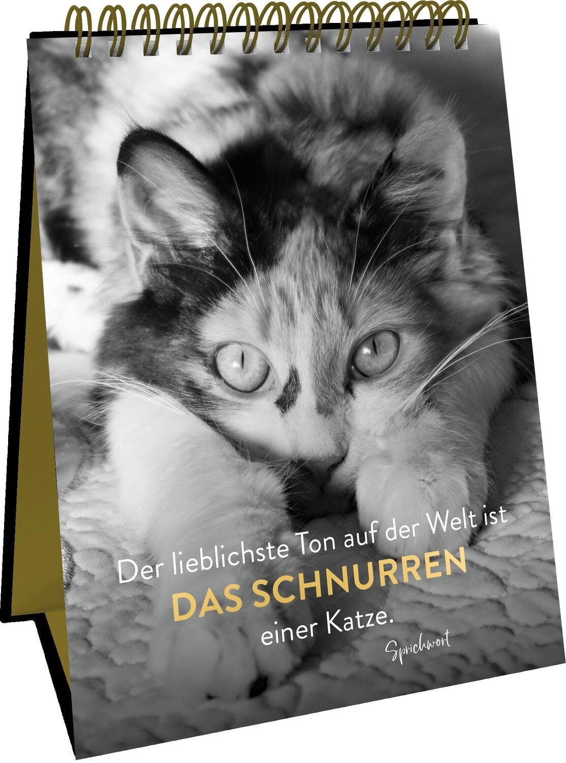 Bild: 9783848501267 | Goldene Katzenweisheiten | Groh Verlag | Taschenbuch | Spiralbindung