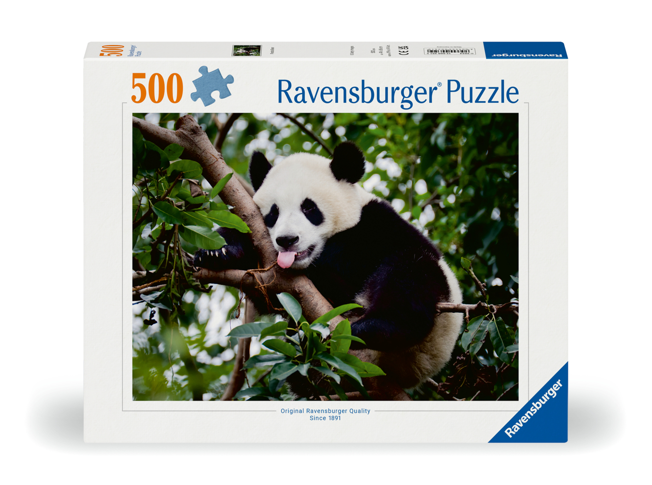 Cover: 4005555003519 | Pandabär | Spiel | 60035100 | Deutsch | 2024 | Ravensburger