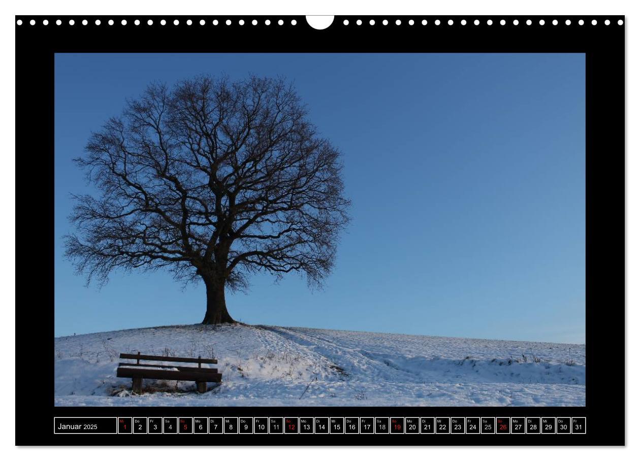 Bild: 9783435820092 | Odenwald - Landschaft sehen (Wandkalender 2025 DIN A3 quer),...