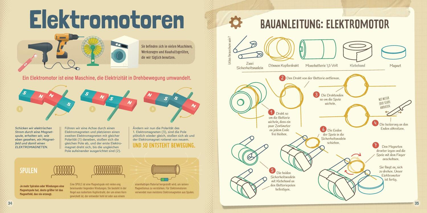 Bild: 9783957286482 | Professor Albert und die faszinierende Welt der Elektrizität | Ferrón