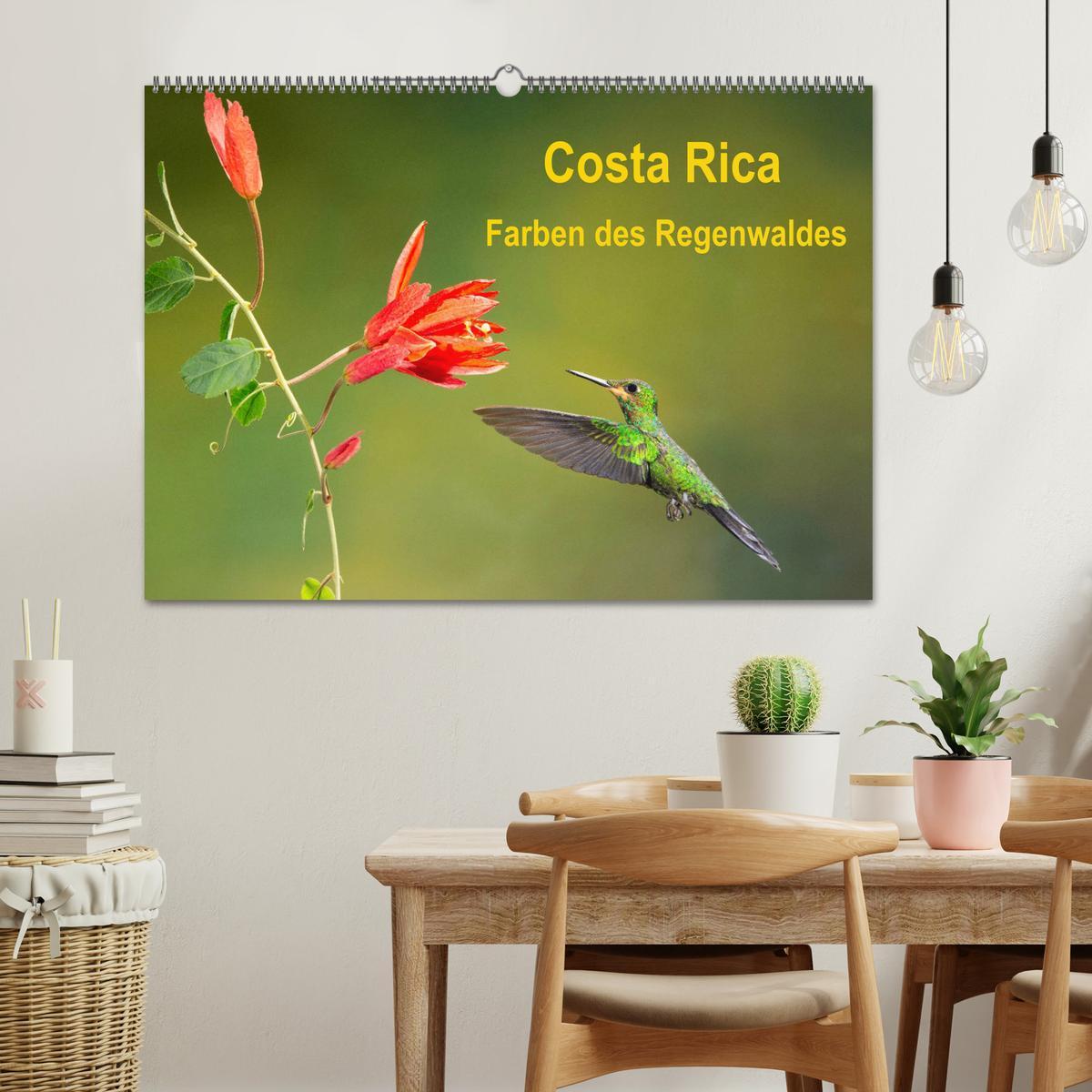 Bild: 9783435328383 | Costa Rica - Farben des Regenwaldes (Wandkalender 2025 DIN A2...