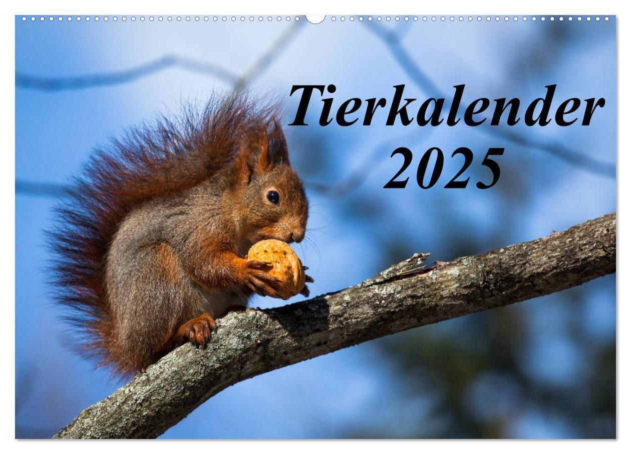 Cover: 9783435797097 | Tierkalender 2025 (Wandkalender 2025 DIN A2 quer), CALVENDO...