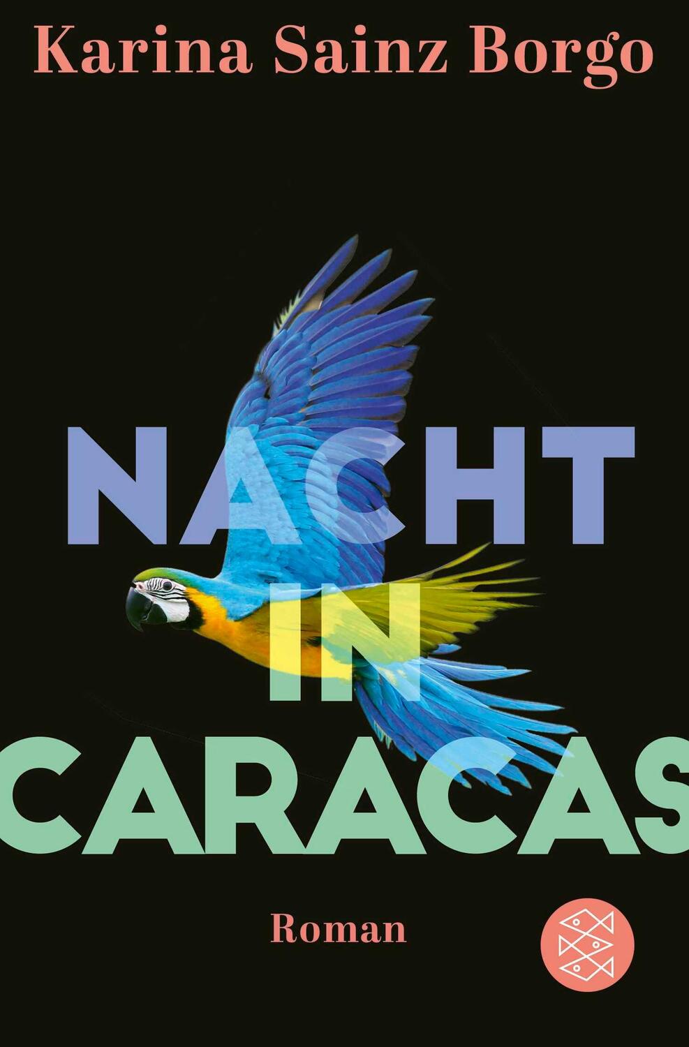 Cover: 9783596704972 | Nacht in Caracas | Roman | Karina Sainz Borgo | Taschenbuch | 220 S.