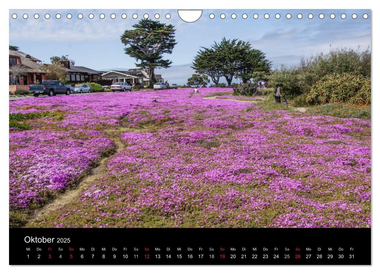 Bild: 9783435824915 | Monterey California (Wandkalender 2025 DIN A4 quer), CALVENDO...