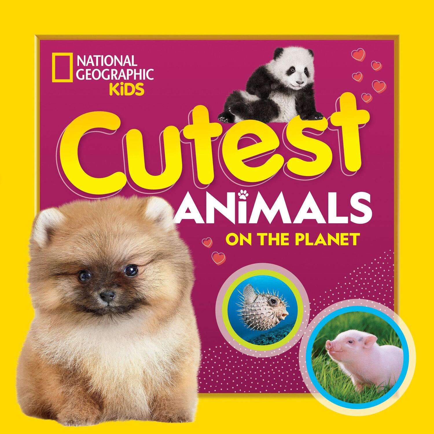 Cover: 9781426339219 | Cutest Animals on the Planet | National Geographic Kids | Taschenbuch