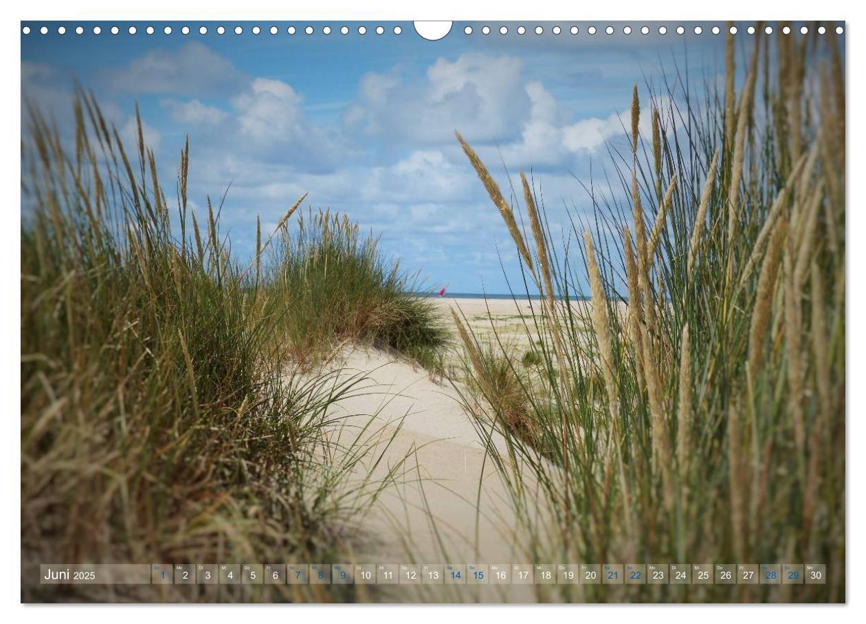 Bild: 9783435660780 | Texel. Neue Dünen (Wandkalender 2025 DIN A3 quer), CALVENDO...