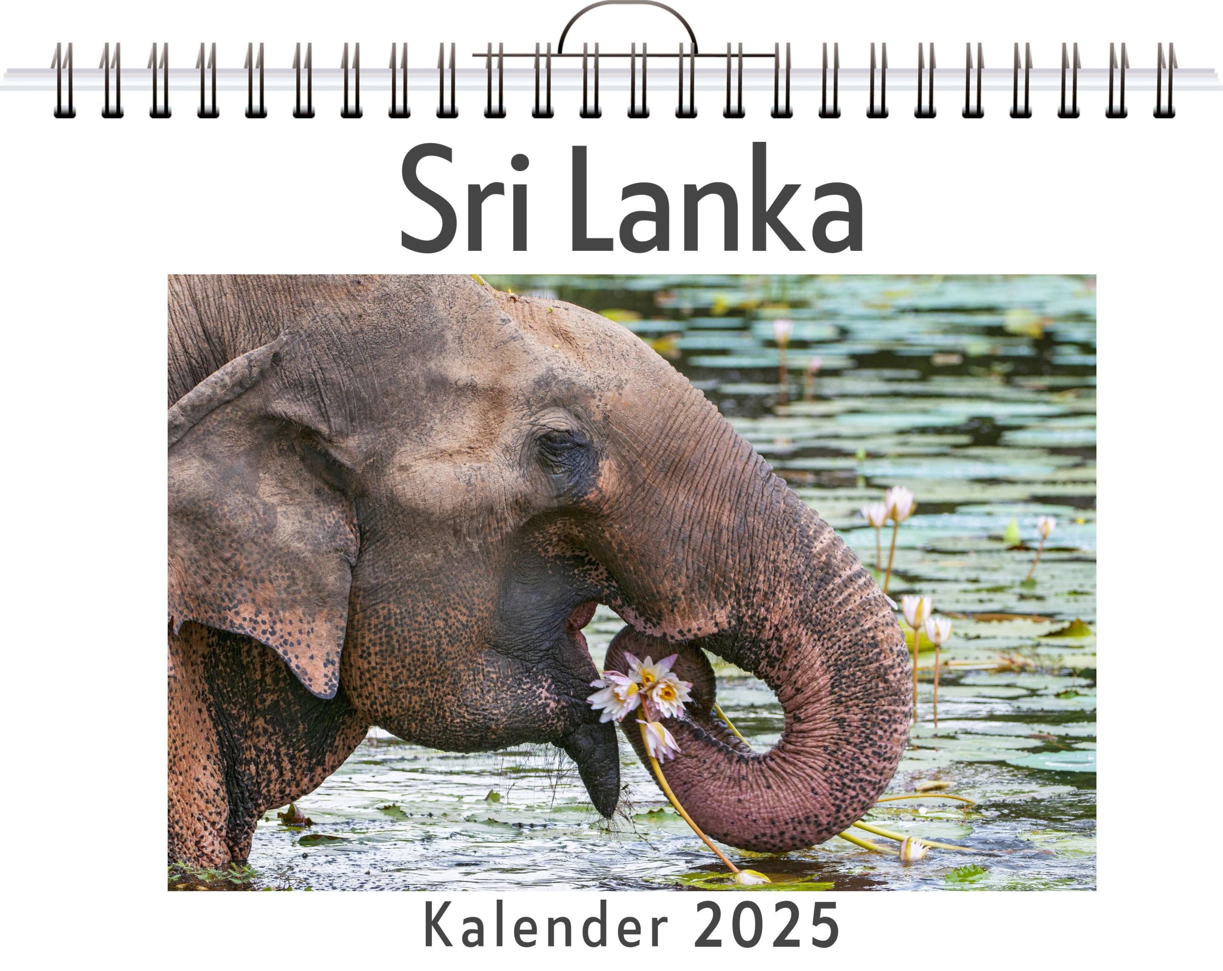 Cover: 9783759121844 | Sri Lanka | Nora Braun | Kalender | Kalender | 14 S. | Deutsch