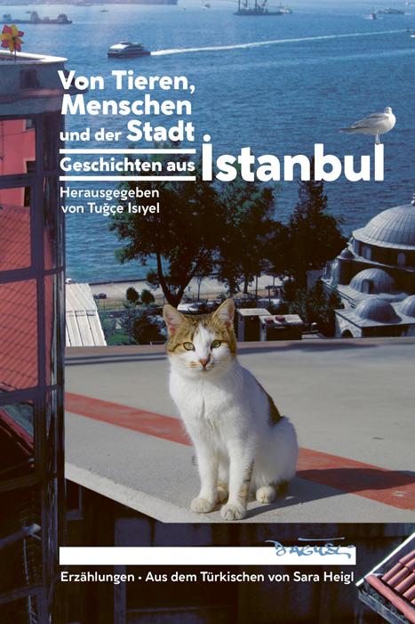 Cover: 9783910948051 | Von Tieren, Menschen und der Stadt | Geschichten aus Istanbul | siyel