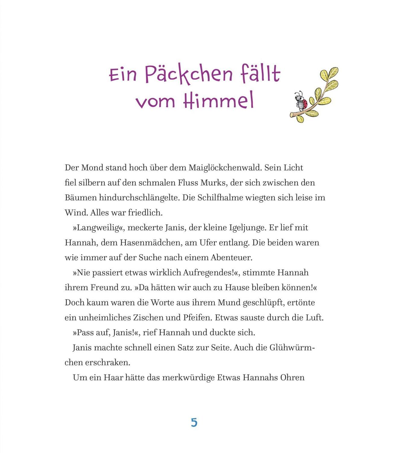 Bild: 9783551512710 | Hannah, Janis und das Päckchen mit Schnabel | Marliese Arold | Buch