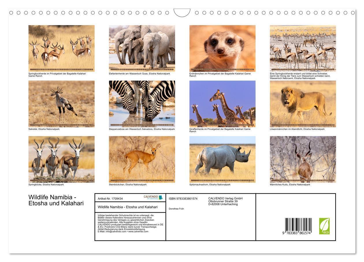 Bild: 9783383861574 | Wildlife Namibia - Etosha und Kalahari (Wandkalender 2025 DIN A3...