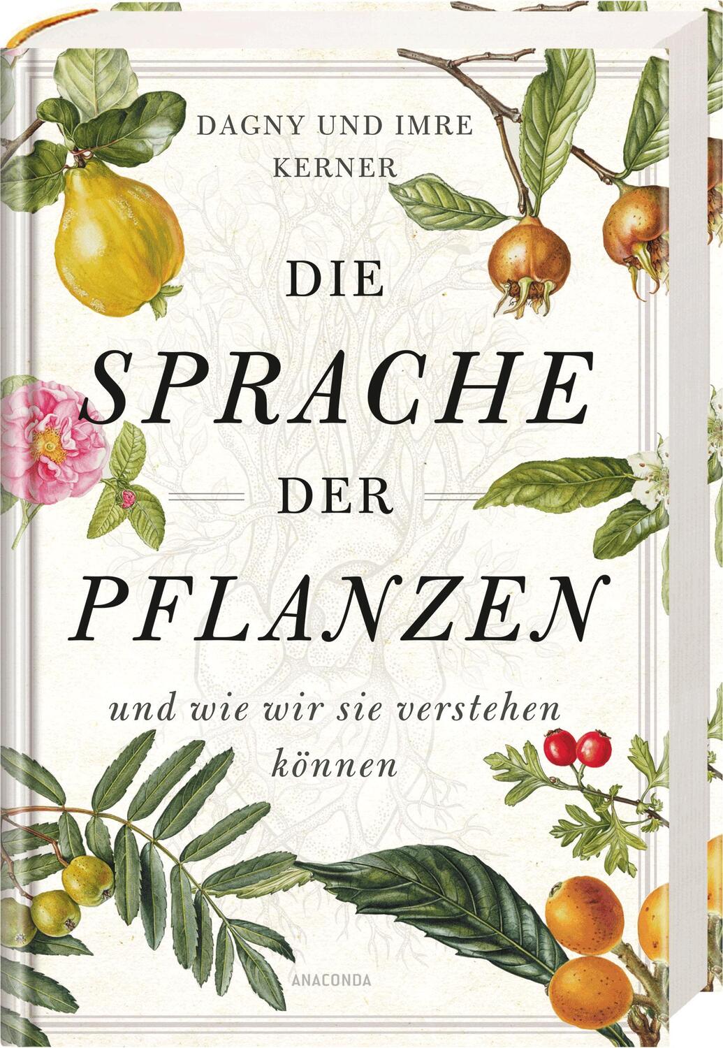 Bild: 9783730610084 | Die Sprache der Pflanzen | ... und wie wir sie verstehen können | Buch