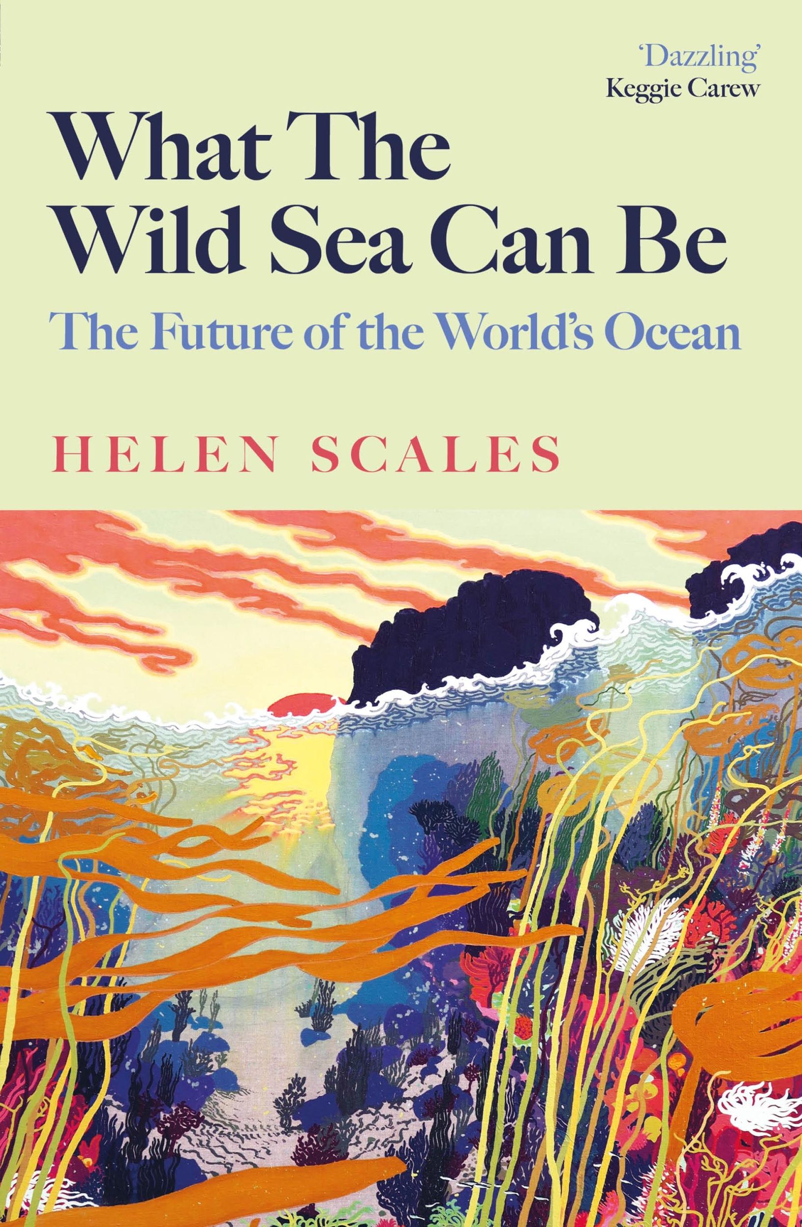 Cover: 9781804710500 | What the Wild Sea Can Be | The Future of the World's Ocean | Scales