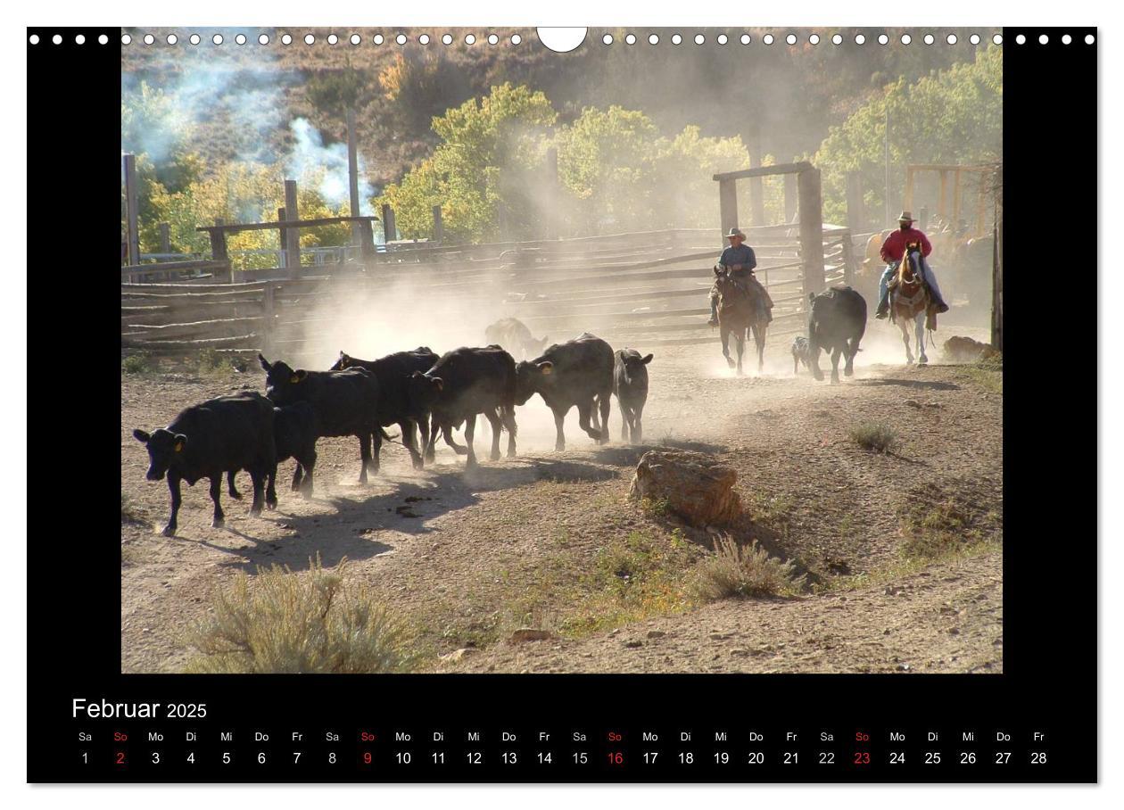 Bild: 9783435630394 | City Slickers - Ranchurlaub (Wandkalender 2025 DIN A3 quer),...