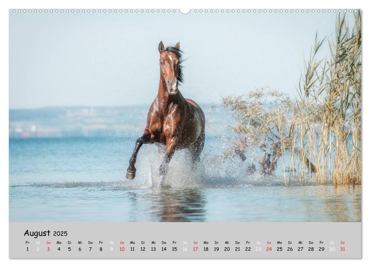 Bild: 9783435563074 | Pferde - Anmut und Stärke gepaart mit Magie (Wandkalender 2025 DIN...