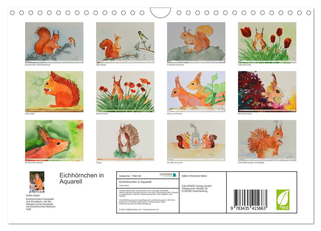 Bild: 9783435415663 | Eichhörnchen in Aquarell (Wandkalender 2025 DIN A4 quer), CALVENDO...