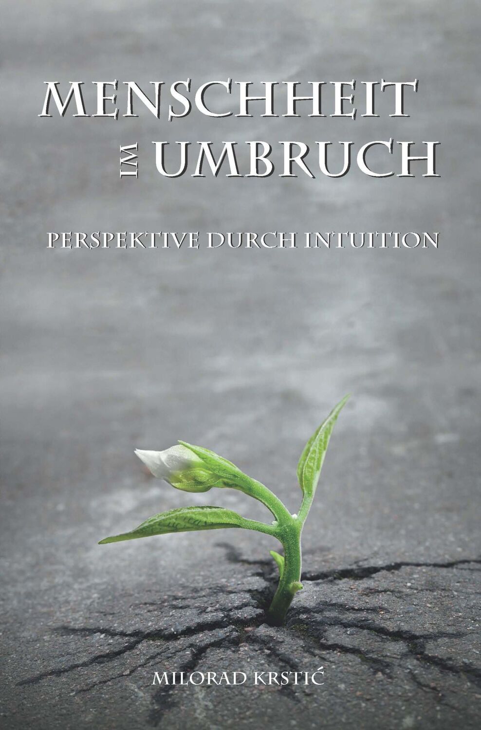 Cover: 9783981754216 | Menschheit im Umbruch. Perspektive durch Intuition | Milorad Krstic