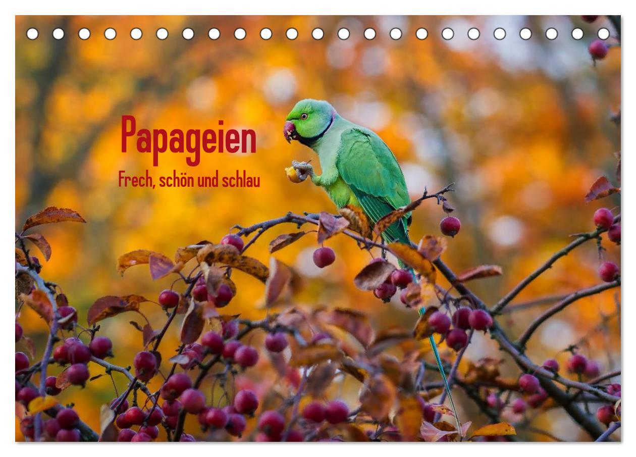 Cover: 9783435473274 | Papageien - Frech, schön und schlau (Tischkalender 2025 DIN A5...