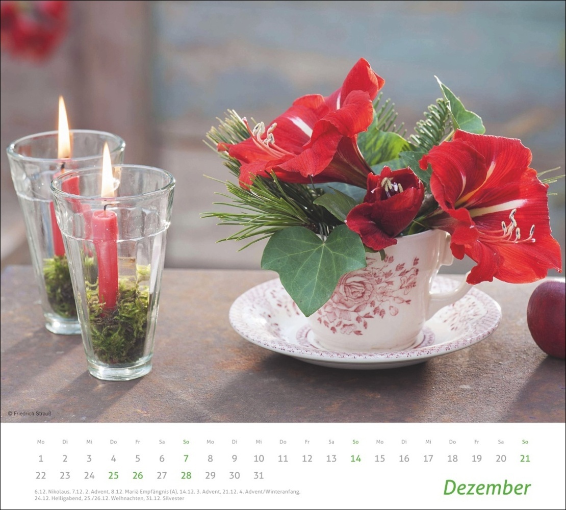 Bild: 9783756406876 | Blumen Bildkalender 2025 | Kalender | Spiralbindung | 14 S. | Deutsch