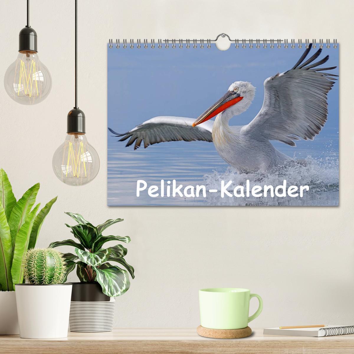 Bild: 9783435699759 | Pelikan-Kalender (Wandkalender 2025 DIN A4 quer), CALVENDO...