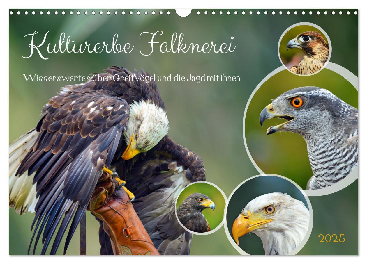 Cover: 9783383858963 | Kulturerbe Falknerei (Wandkalender 2025 DIN A3 quer), CALVENDO...