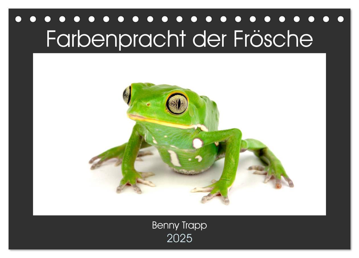 Cover: 9783435397921 | Farbenpracht der Frösche (Tischkalender 2025 DIN A5 quer), CALVENDO...