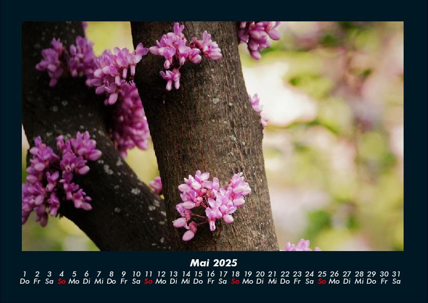 Bild: 9783755992325 | Blumenträume 2025 Fotokalender DIN A4 | Tobias Becker | Kalender