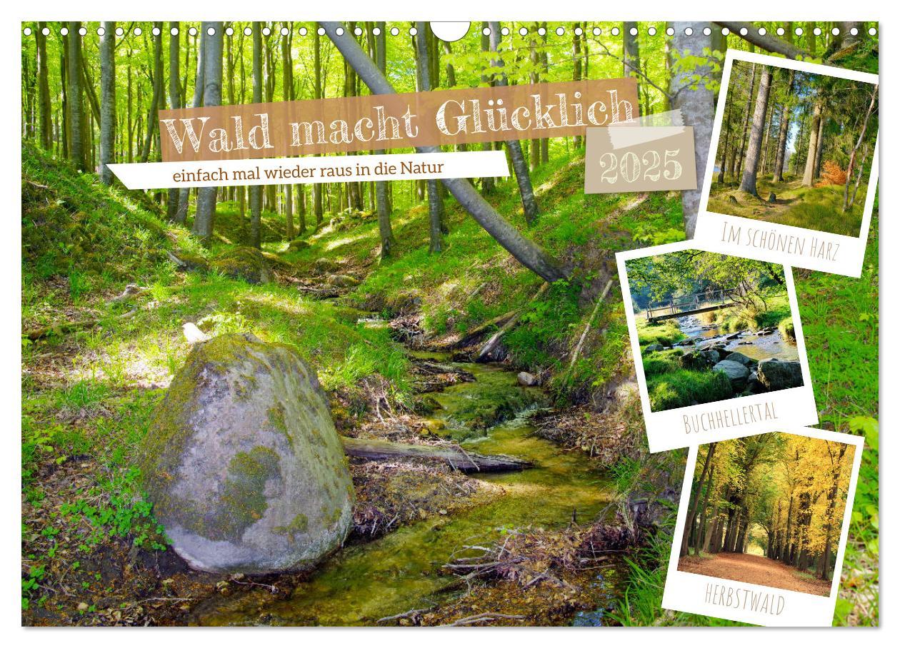 Cover: 9783383901874 | Wald macht glücklich (Wandkalender 2025 DIN A3 quer), CALVENDO...