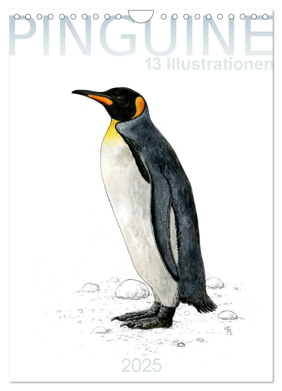 Cover: 9783457017890 | Pinguine - 13 Illustrationen (Wandkalender 2025 DIN A4 hoch),...