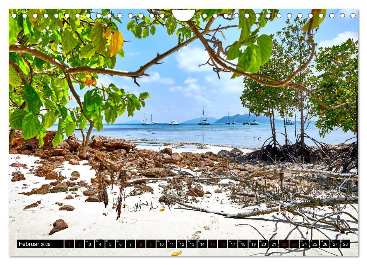 Bild: 9783435299508 | Seychellen Paradies 2025 (Wandkalender 2025 DIN A4 quer), CALVENDO...