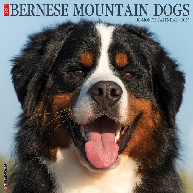 Cover: 9781549241697 | Just Bernese Mountain Dog 2025 12 X 12 Wall Calendar | Press | 2025