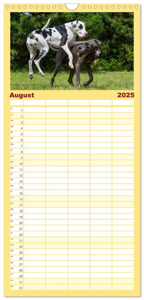 Bild: 9783457113523 | Familienplaner 2025 - Deutsche Dogge mit 5 Spalten (Wandkalender,...