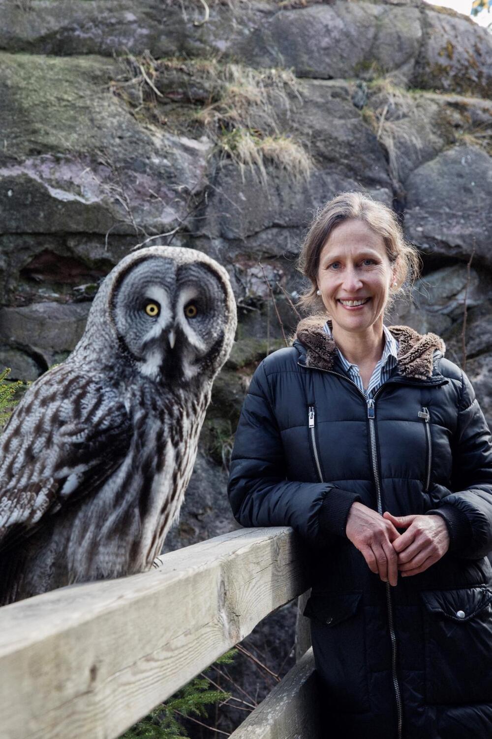 Autor: 9783550201318 | Die geheime Welt der Vögel | Jennifer Ackerman | Buch | 528 S. | 2023