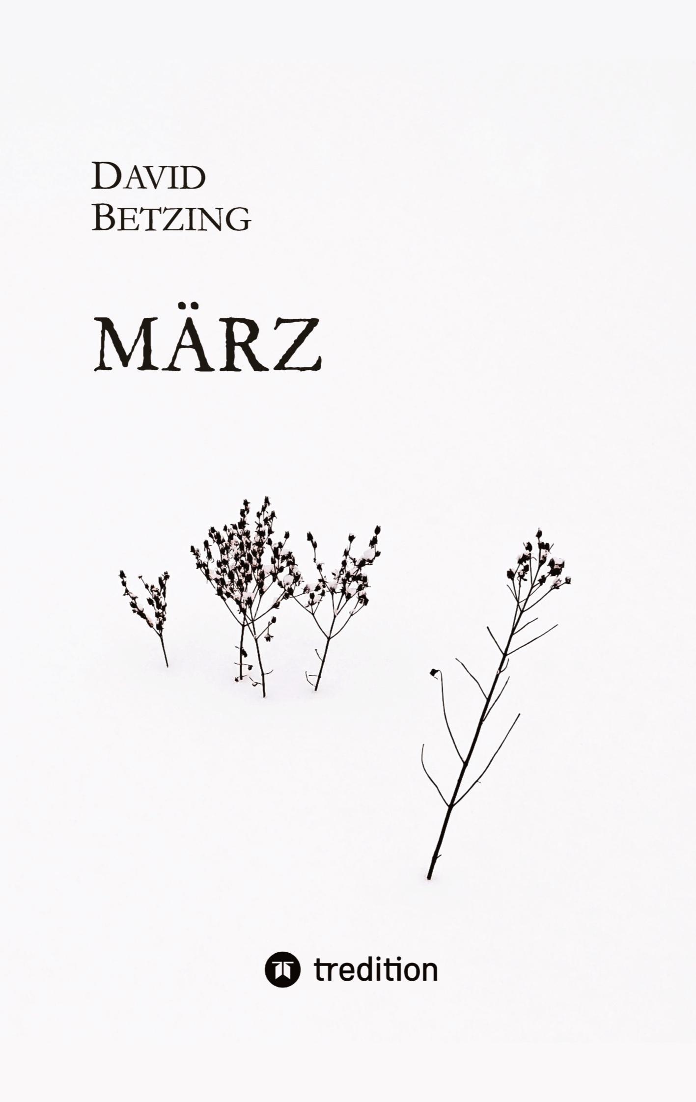 Cover: 9783384041227 | März | David Betzing | Taschenbuch | Paperback | 192 S. | Deutsch