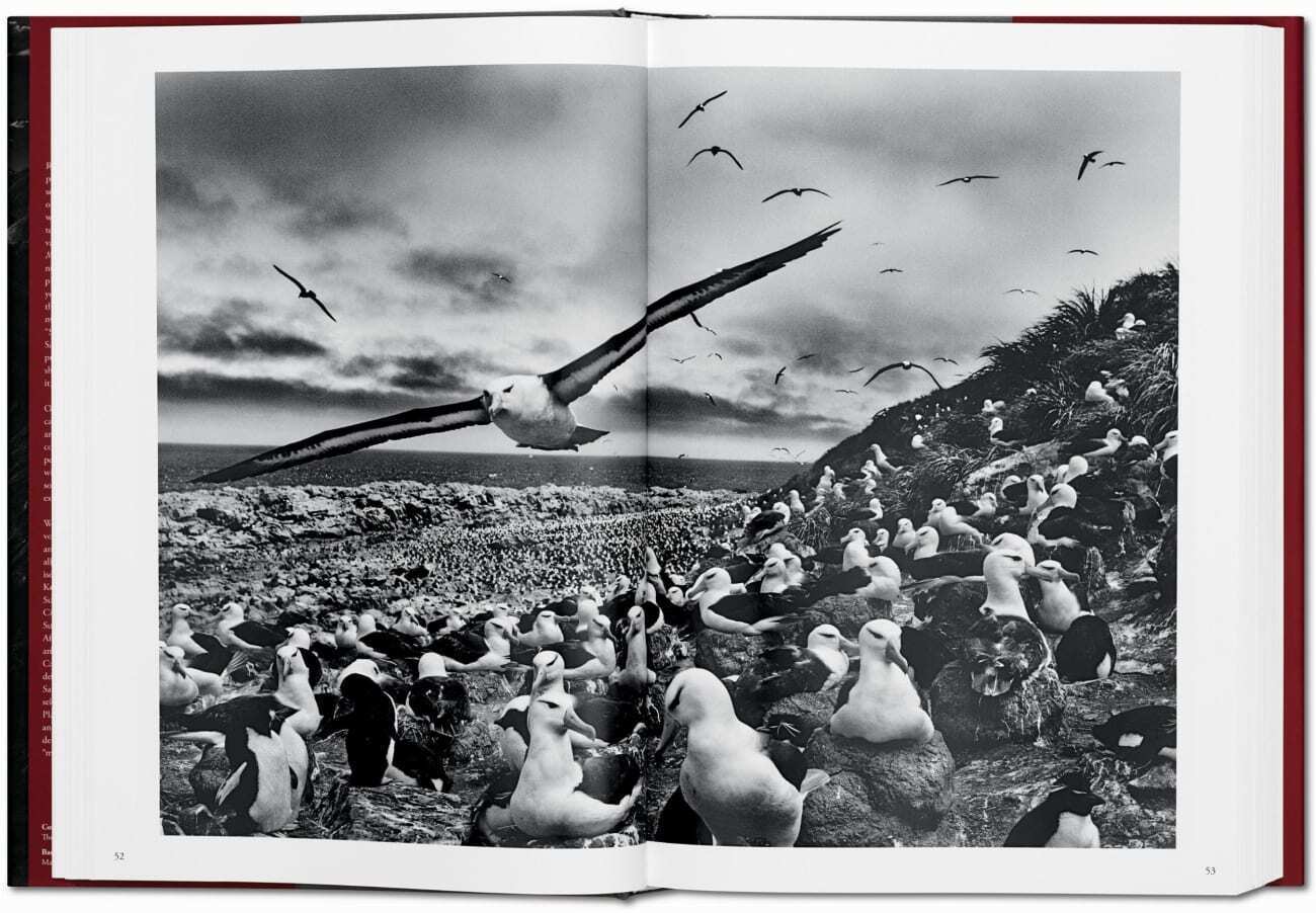 Bild: 9783836542616 | Sebastião Salgado. Genesis | Lélia Wanick Salgado | Buch | 520 S.