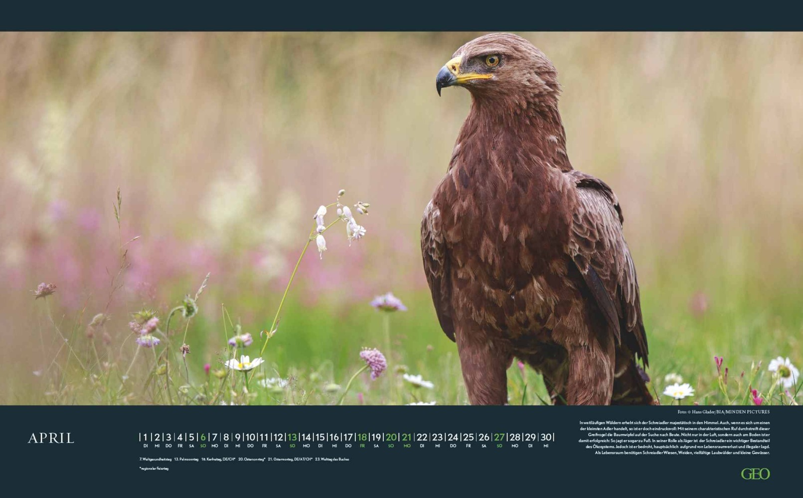 Bild: 4002725988645 | GEO - Bedrohte Tierwelt 2025 Wandkalender, 58x36cm, Posterkalender...