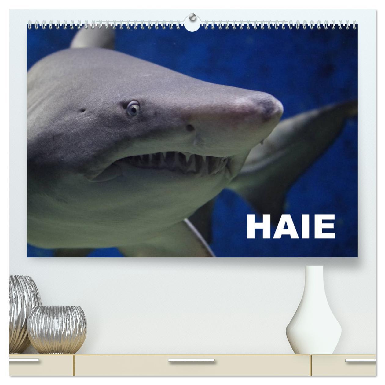 Cover: 9783435521647 | Haie (hochwertiger Premium Wandkalender 2025 DIN A2 quer),...