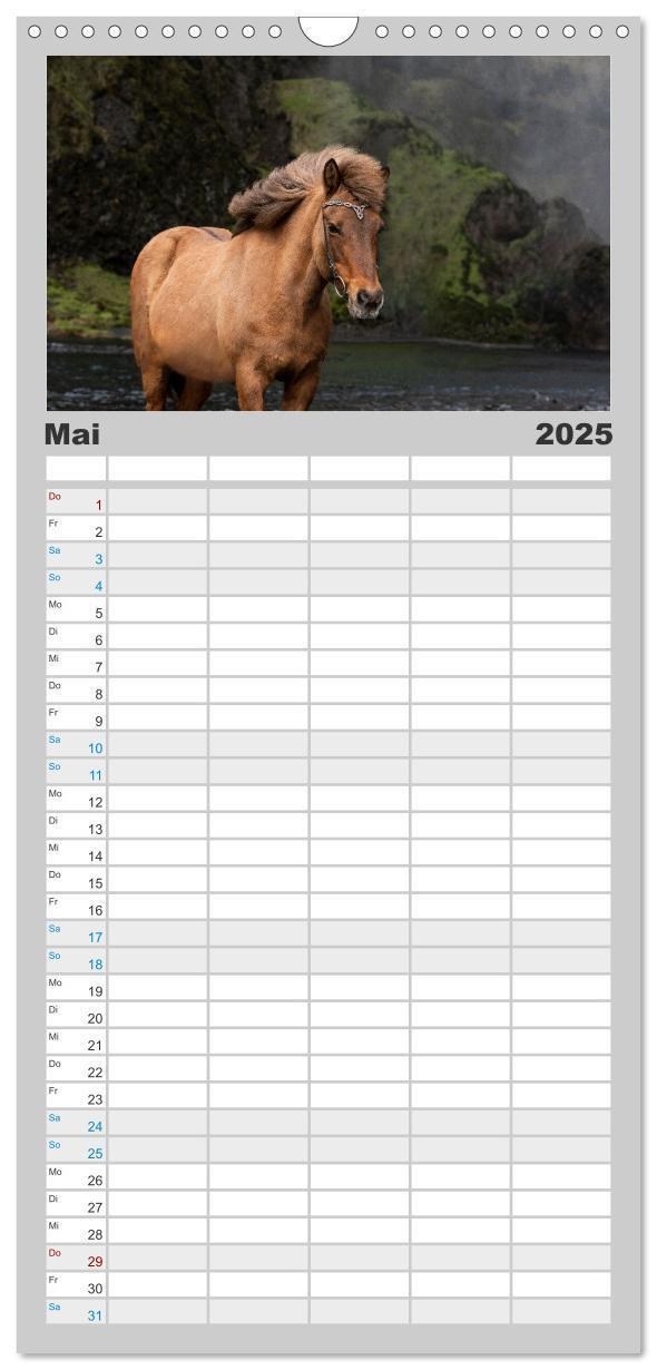 Bild: 9783457101568 | Familienplaner 2025 - Islandpferde Kalender - Pferde von der Insel...