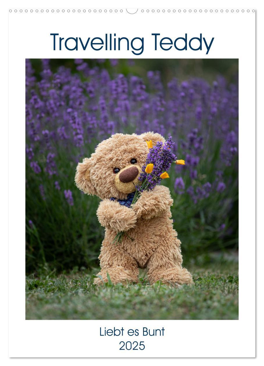 Cover: 9783435896288 | Travelling Teddy liebt es Bunt (Wandkalender 2025 DIN A2 hoch),...