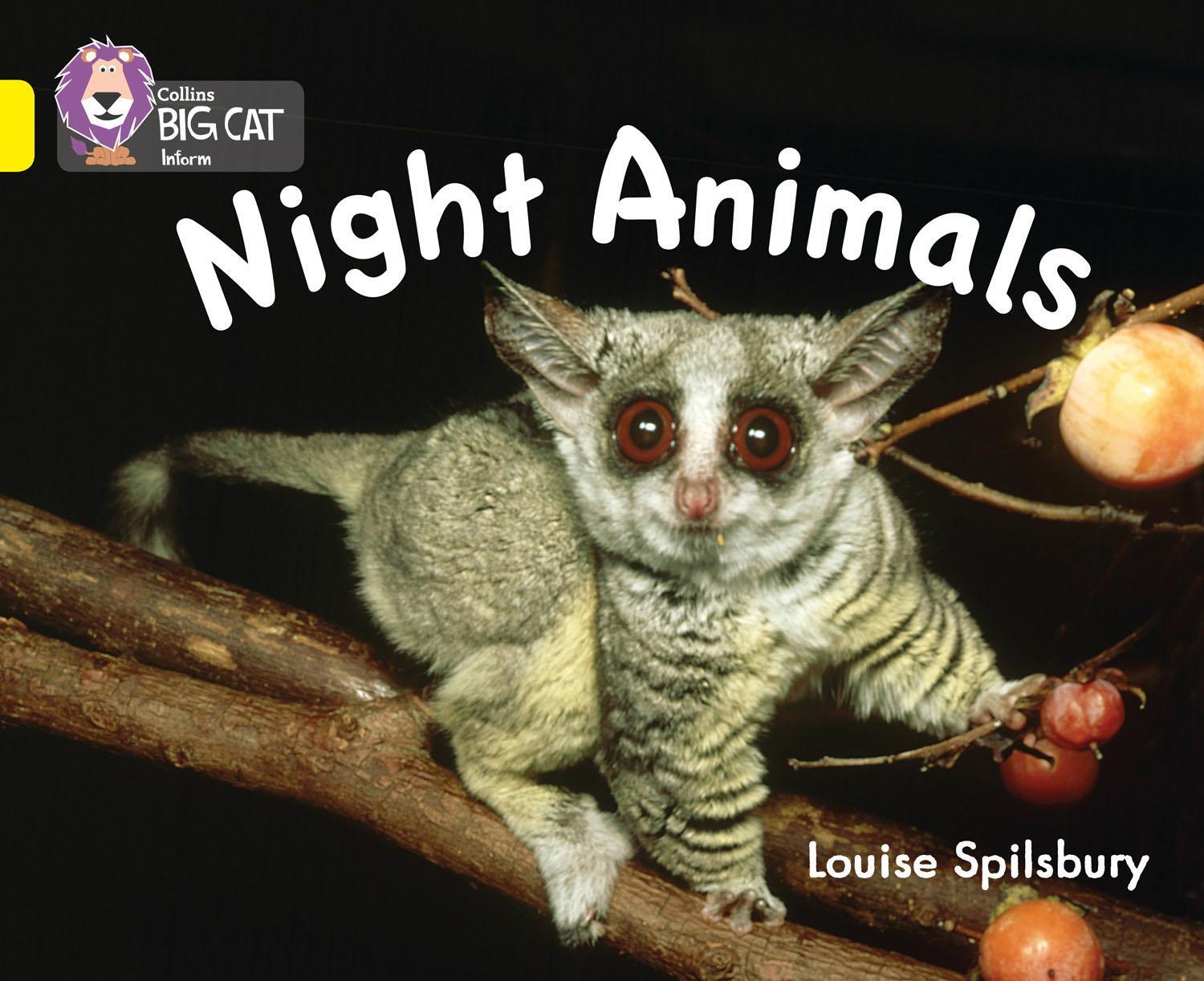 Cover: 9780007412952 | Night Animals | Band 03/Yellow | Louise Spilsbury | Taschenbuch | 2011