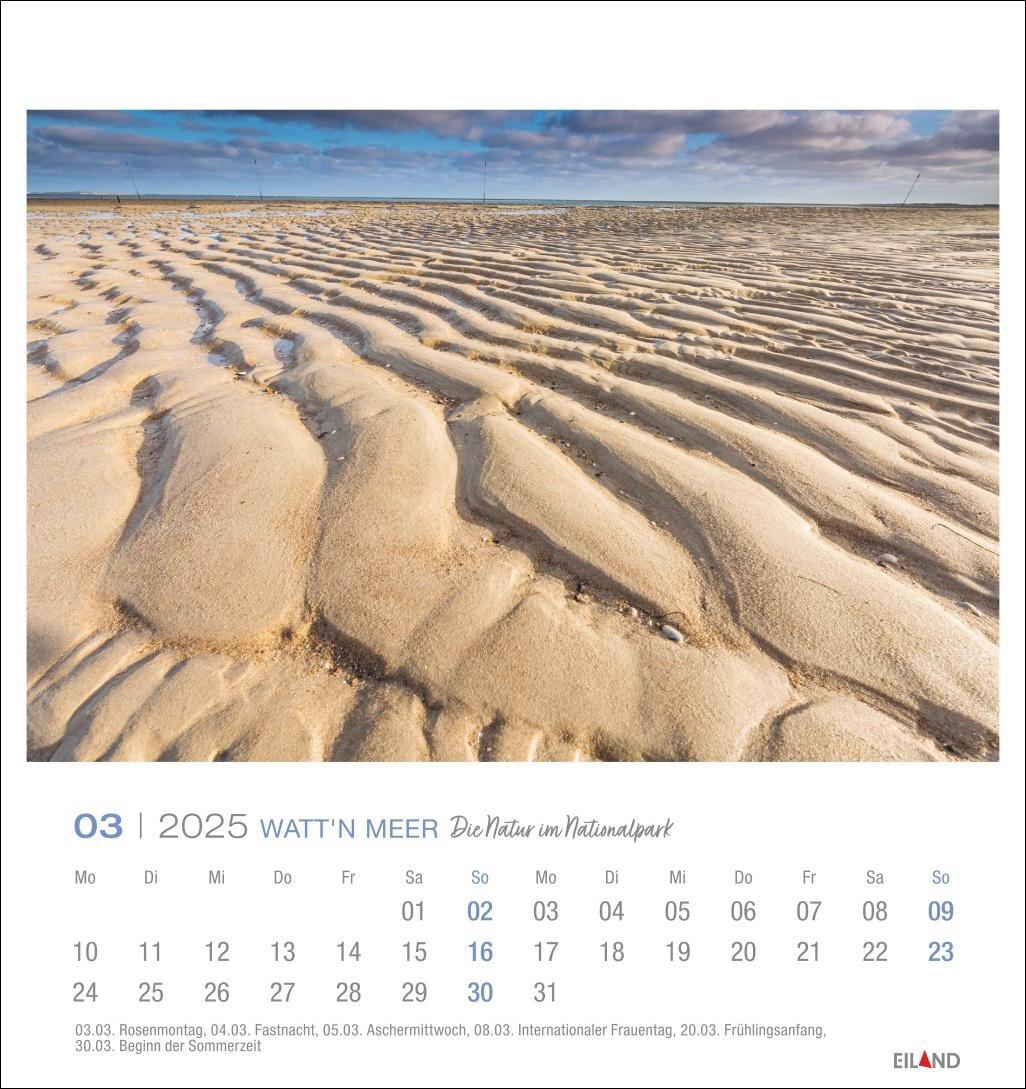 Bild: 9783964023285 | Watt'n Meer Postkartenkalender 2025 - Die Natur im Nationalpark | 2025