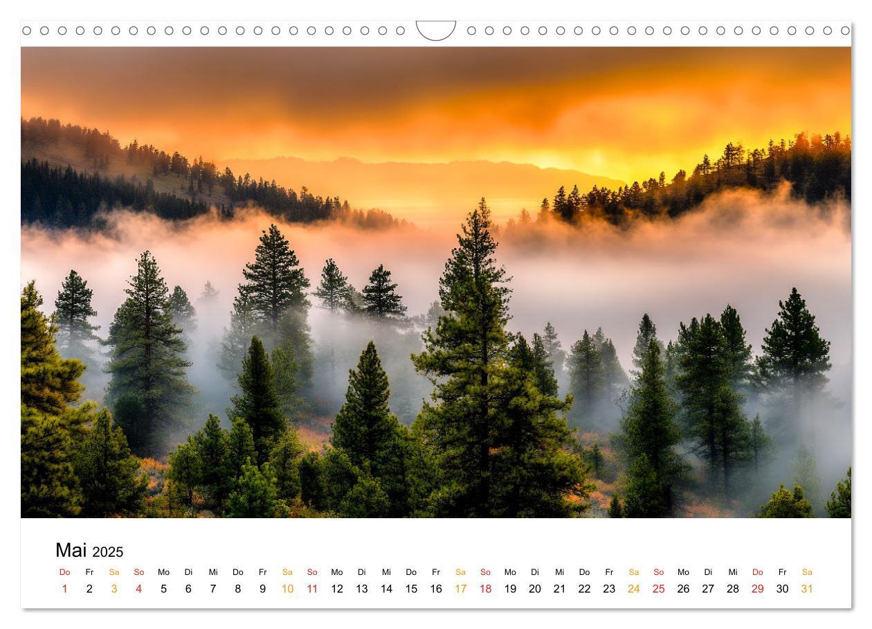 Bild: 9783457224786 | Mystik der Wälder (Wandkalender 2025 DIN A3 quer), CALVENDO...