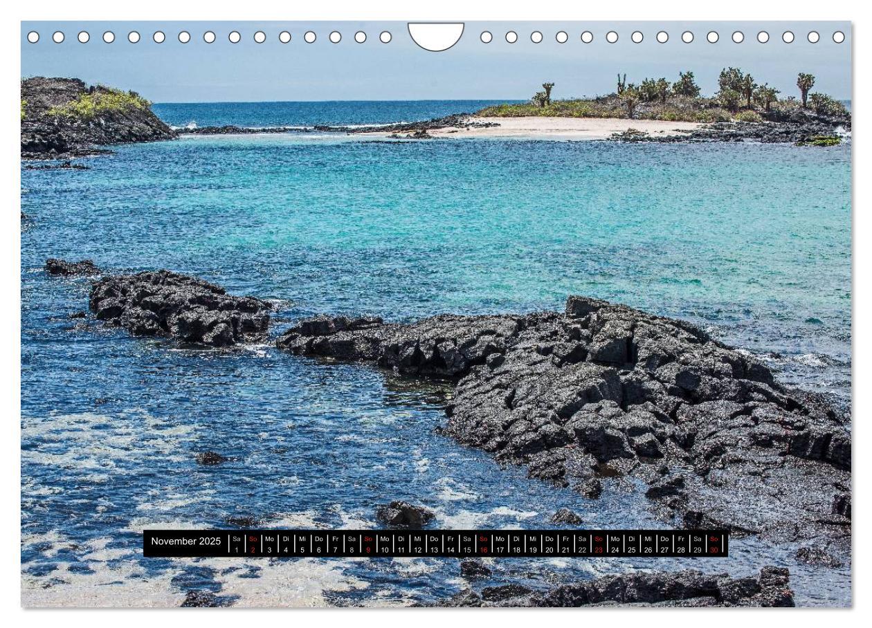 Bild: 9783435705900 | Galapagos- Landschaften (Wandkalender 2025 DIN A4 quer), CALVENDO...