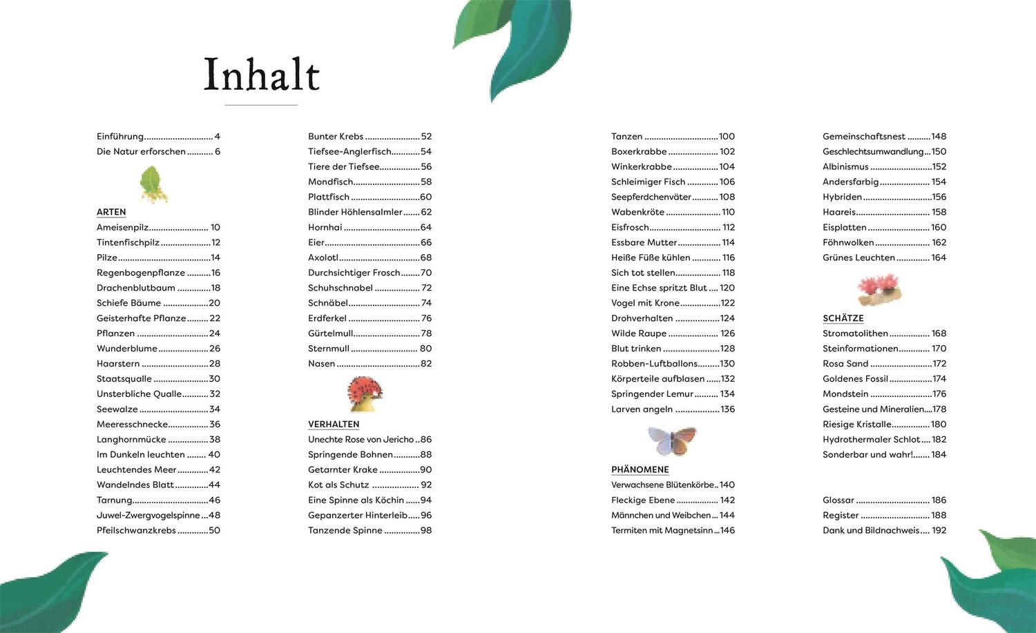 Bild: 9783831049127 | Kuriose Schätze der Natur | Ben Hoare | Buch | 192 S. | Deutsch | 2024