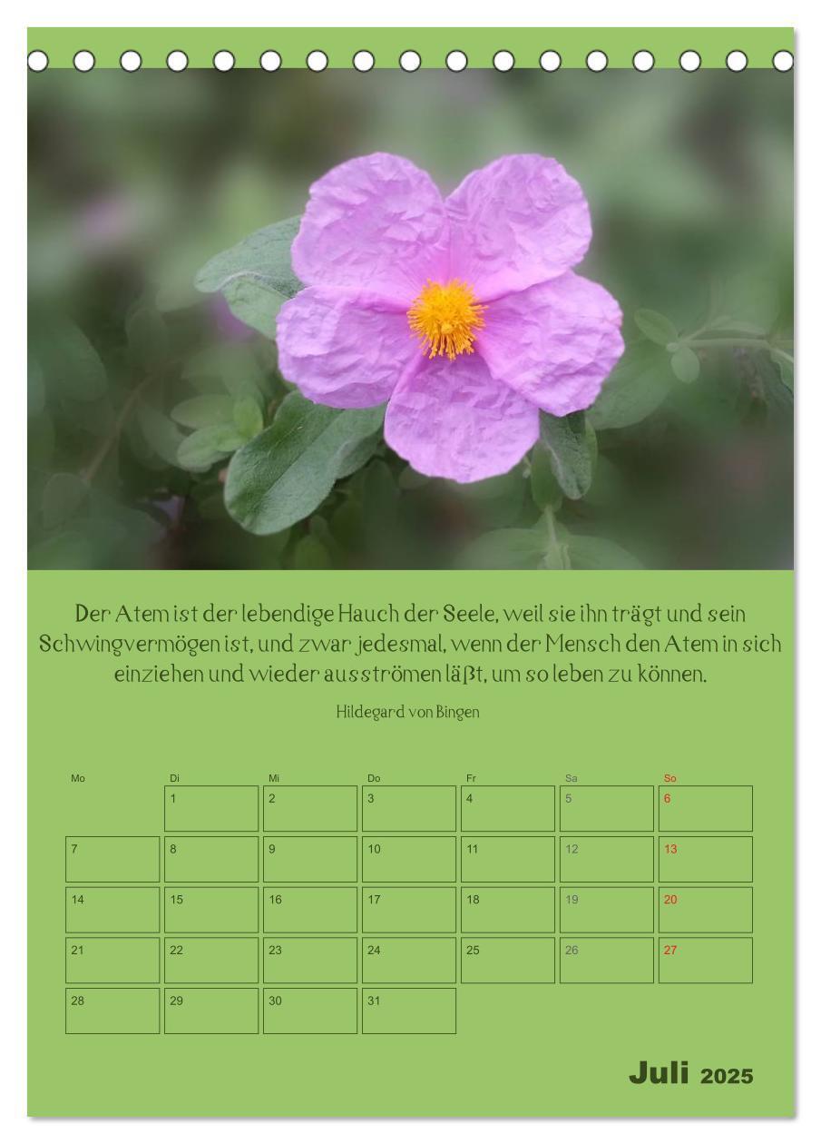 Bild: 9783457059135 | Erkenntnis und Weisheit - Hildegard von Bingen (Tischkalender 2025...