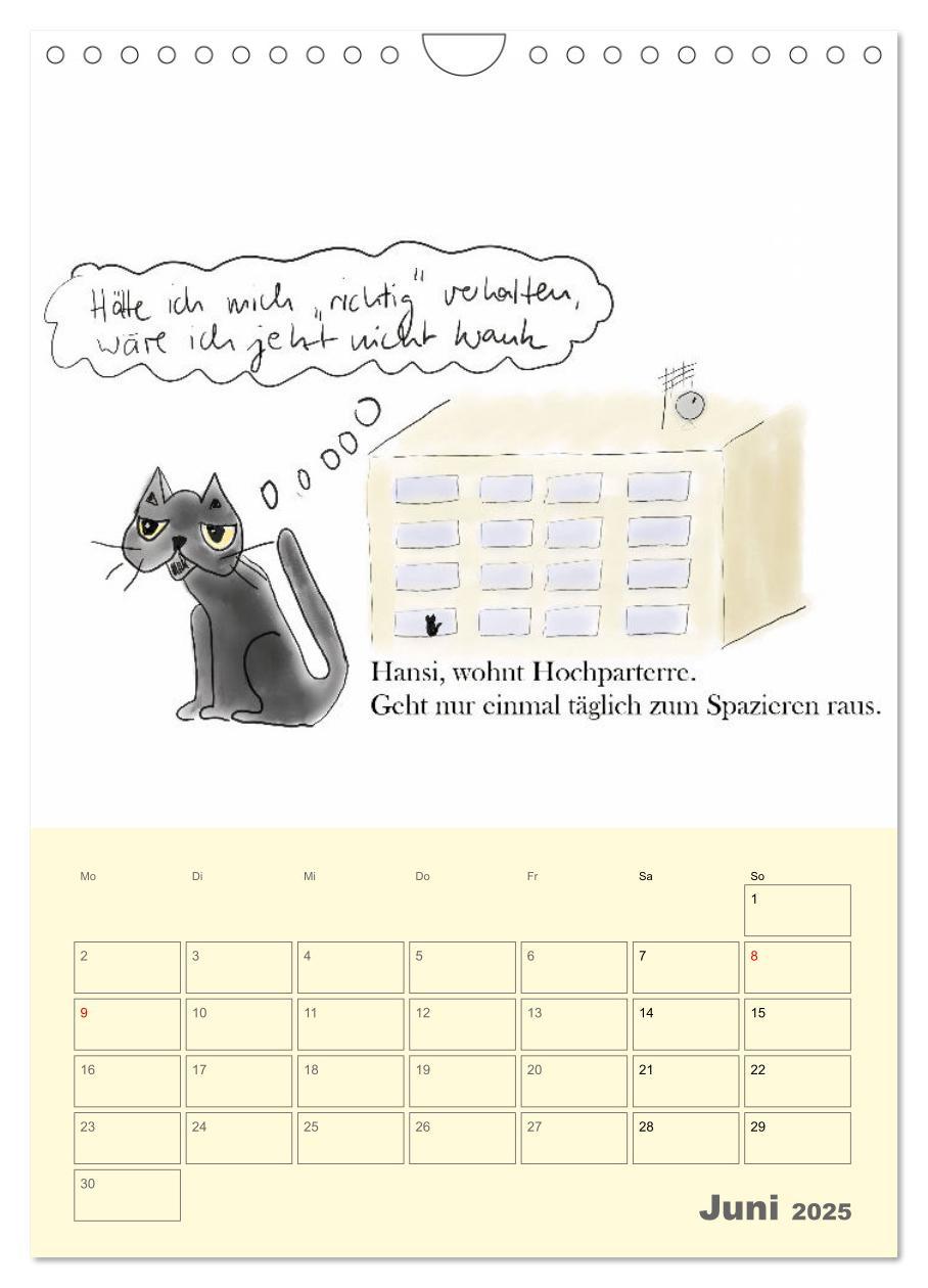 Bild: 9783457220238 | Therapie.Katzen (Wandkalender 2025 DIN A4 hoch), CALVENDO...