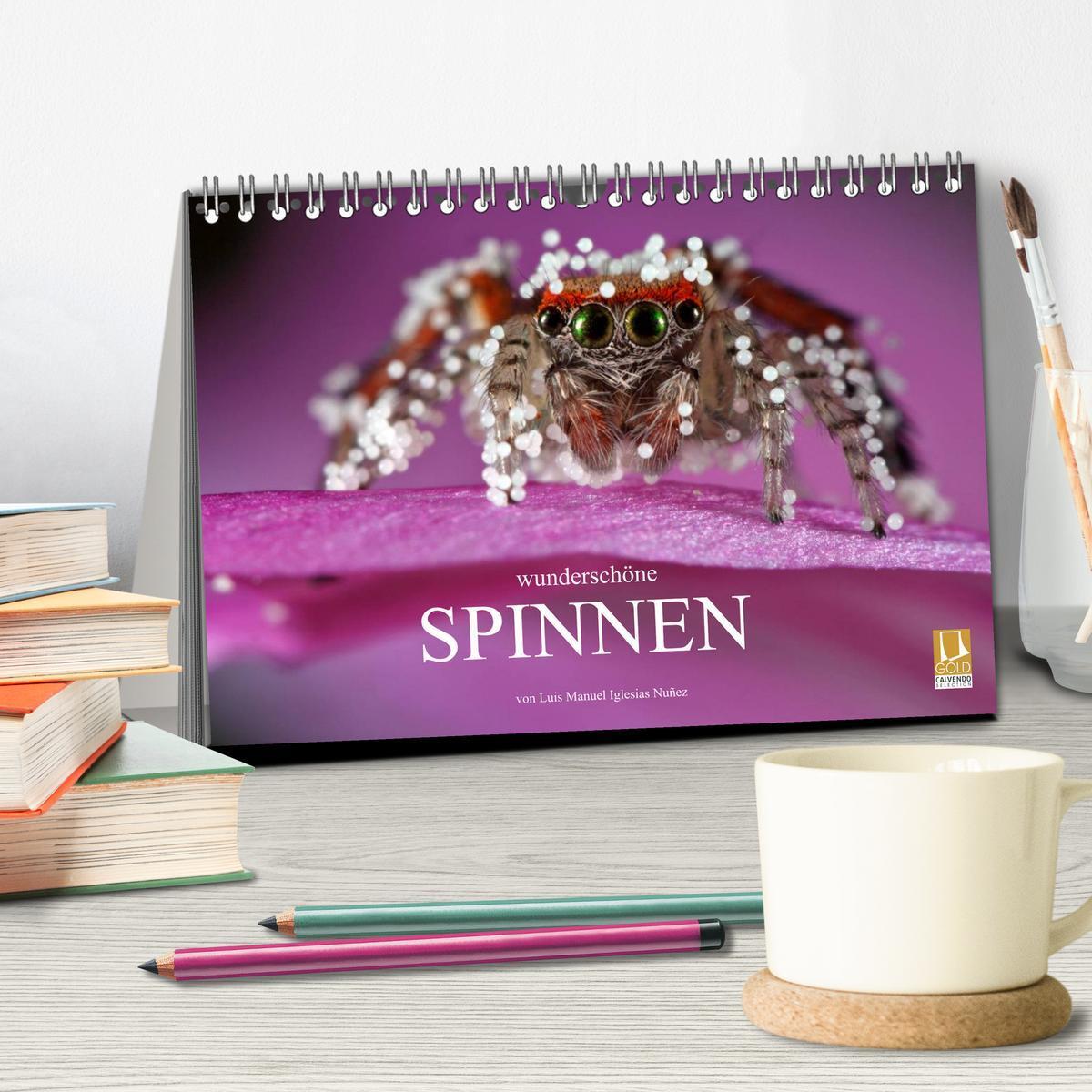 Bild: 9783435803521 | Wunderschöne Spinnen (Tischkalender 2025 DIN A5 quer), CALVENDO...