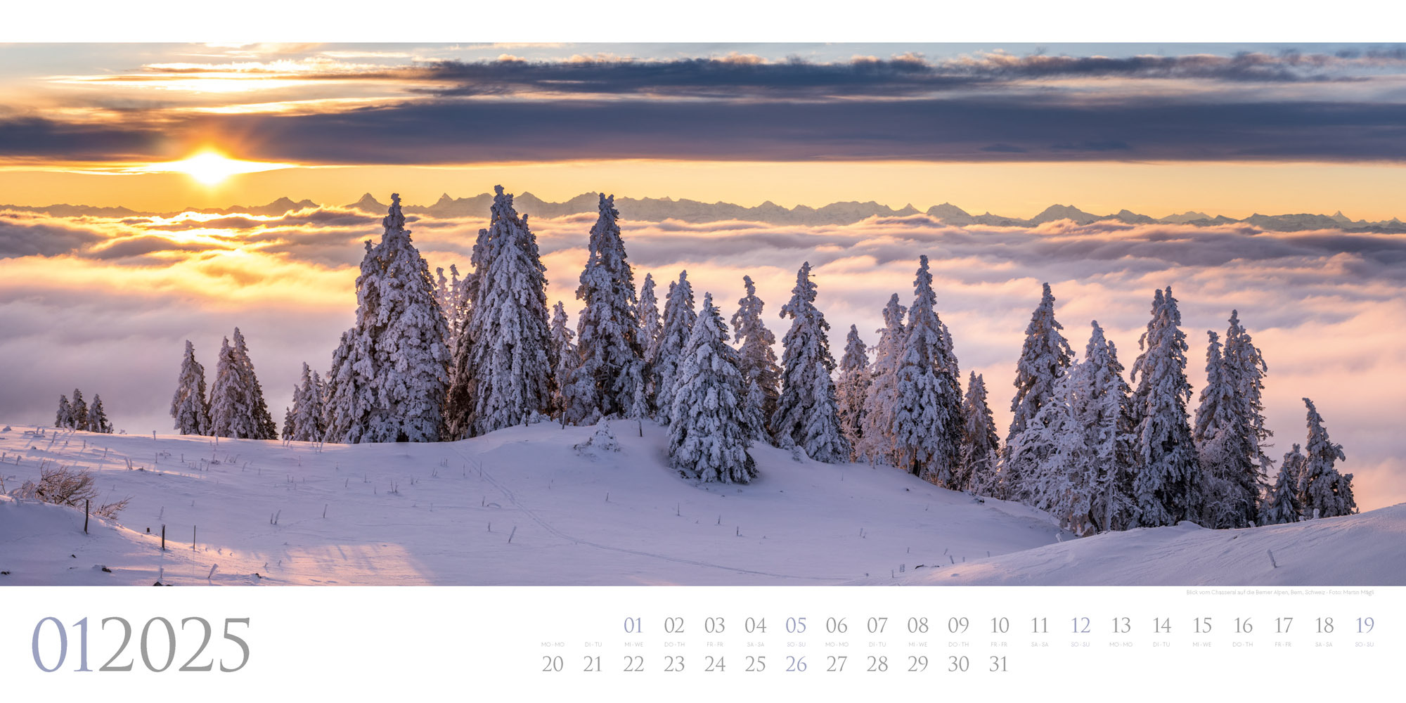 Bild: 9783838425597 | Wilde Wälder Kalender 2025 | Ackermann Kunstverlag | Kalender | 14 S.